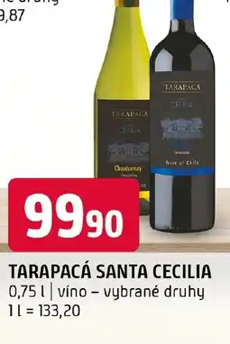 Terno Tarapacá Santa cecilia nabídka