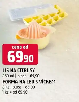 Terno Lis na citrusy nabídka