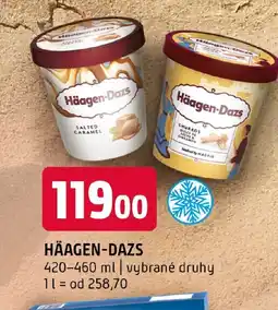 Terno Häagen-dazs nabídka