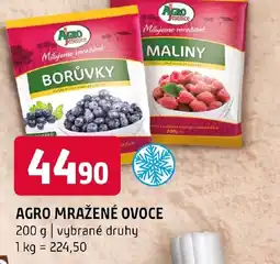 Terno AGRO Mražené ovoce nabídka