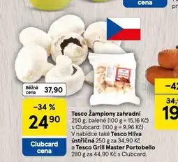 Tesco Žampiony zahradní nabídka