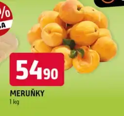 Terno Meruňky nabídka