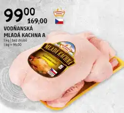 Terno Vodňanská mladá kachna a nabídka