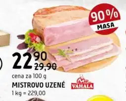 Terno Mistrovo uzené nabídka