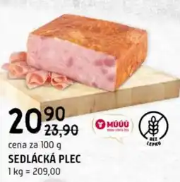 Terno Sedlácká plec nabídka