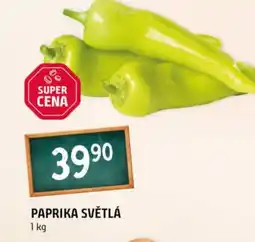 Terno Paprika světlá nabídka