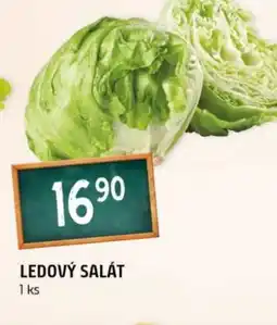 Terno Ledový salát nabídka