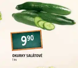Terno Okurky salátové nabídka