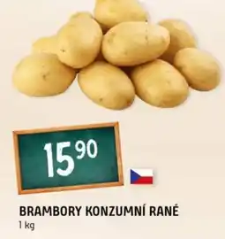 Terno Brambory konzumní rané nabídka