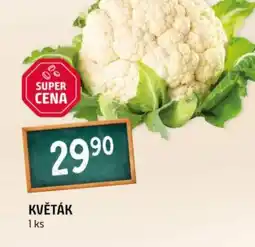 Terno Květák nabídka