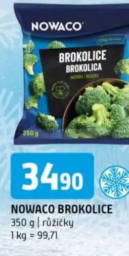Terno Nowaco brokolice nabídka