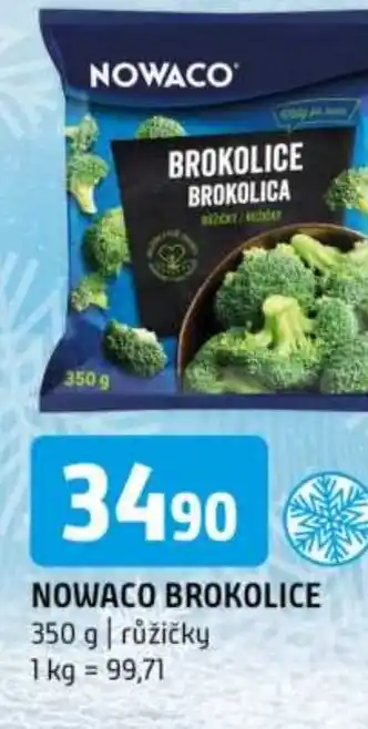 Terno Nowaco brokolice nabídka
