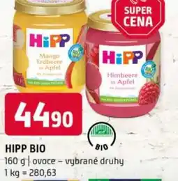 Terno Hipp bio nabídka
