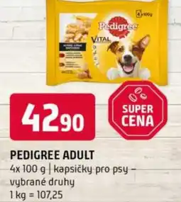 Terno Pedigree adult nabídka
