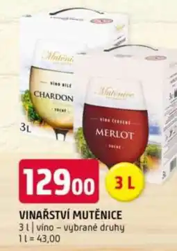 Terno Vinařství Mutěnice nabídka