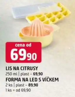 Terno Forma na led s víčkem nabídka