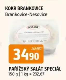 Terno PAŘÍŽSKÝ SALÁT SPECIÁL nabídka