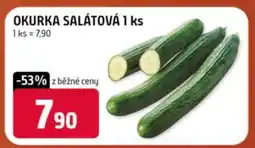 Terno OKURKA SALÁTOVÁ 1 ks nabídka