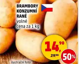 Penny Market BRAMBORY KONZUMNÍ RANÉ nabídka