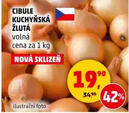 Penny Market CIBULE KUCHYŇSKÁ ŽLUTÁ volná nabídka