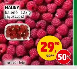 Penny Market MALINY balené nabídka