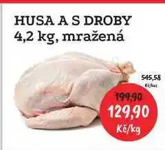 RABBIT řeznictví HUSA A S DROBY 4,2 kg, mražená 1kg nabídka