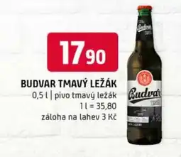 Terno Budvar tmavý ležák nabídka