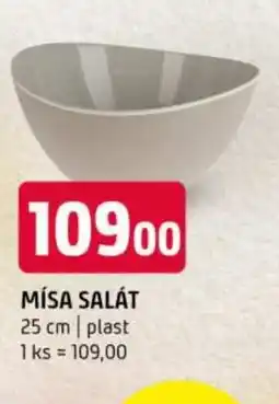 Terno Mísa salát nabídka