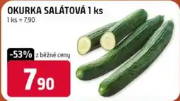 Terno Okurka salátová nabídka