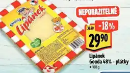 Albert Lipánek Gouda 48% - plátky nabídka