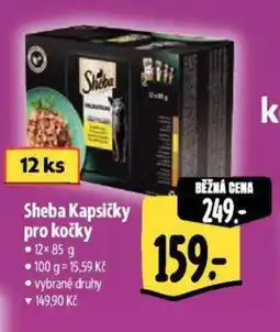 Albert Sheba Kapsičky pro kočky nabídka