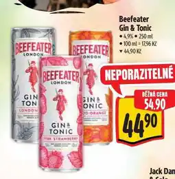 Albert Beefeater Gin & Tonic 250 ml nabídka