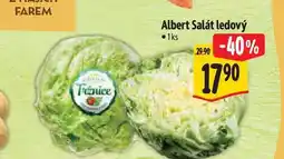Albert Albert Salát ledový 1 ks nabídka