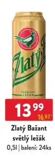 Qanto Zlatý Bažant světlý ležák nabídka