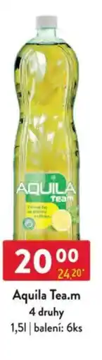 Qanto Aquila Tea.m nabídka