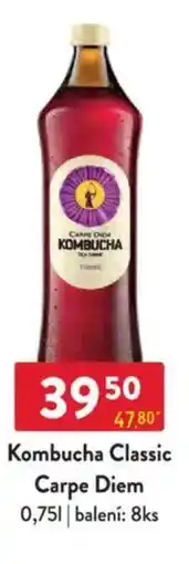 Qanto Kombucha Classic Carpe Diem nabídka