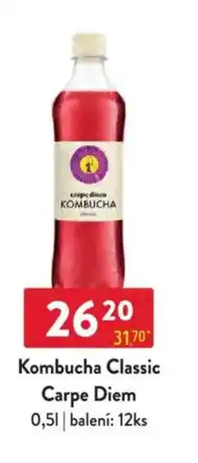 Qanto Kombucha Classic Carpe Diem nabídka