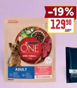 Billa Purina ONE Mini/Small Adult nabídka