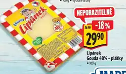 Albert Lipánek Gouda 48% plátky nabídka