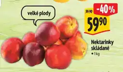 Albert Nektarinky skládané nabídka