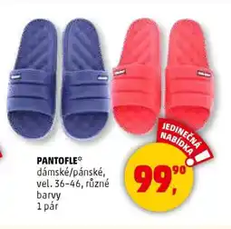 Penny Market Pantofle nabídka