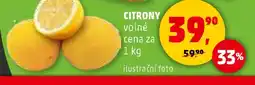 Penny Market Citrony nabídka