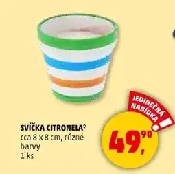 Penny Market SVÍČKA CITRONELA nabídka
