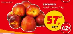 Penny Market Nektarinky nabídka