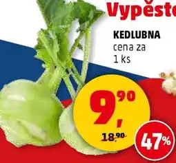 Penny Market KEDLUBNA nabídka
