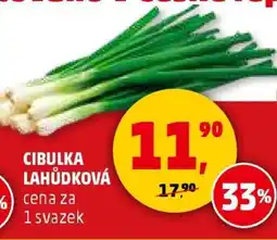 CIBULKA LAHŮDKOVÁ