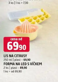 Terno Forma na led s víčkem nabídka