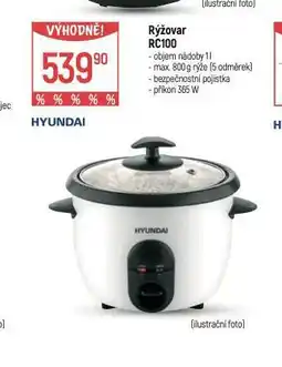 Globus Hyundai rýžovar nabídka