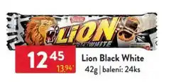 Qanto Lion Black White nabídka