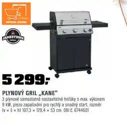 OBI PLYNOVÝ GRIL „KANE" nabídka